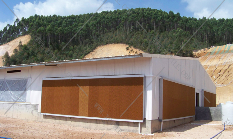 還在為廠房的墻體煩惱嗎？使用星發(fā)優(yōu)質(zhì)墻體廠房塑料瓦