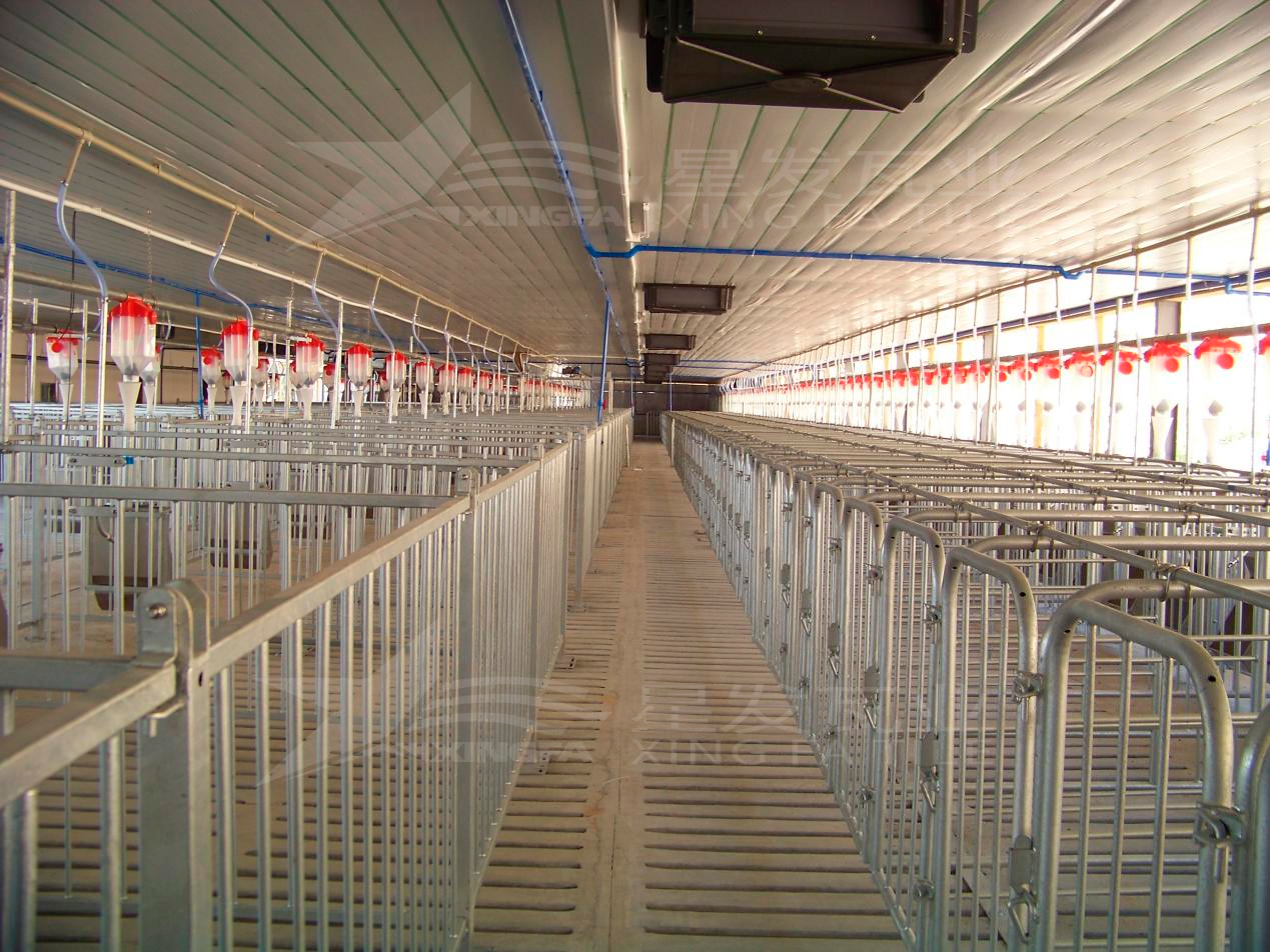 高溫來襲，養(yǎng)殖場安裝樹脂瓦，為小動物營造避暑勝地