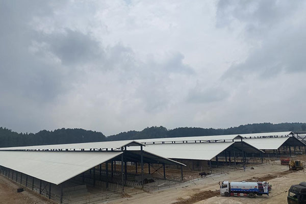 延長PVC瓦使用壽命的三大關鍵因素，千萬別忽視！